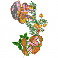 Mushroom Embroidery Design 11